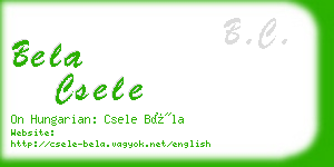 bela csele business card